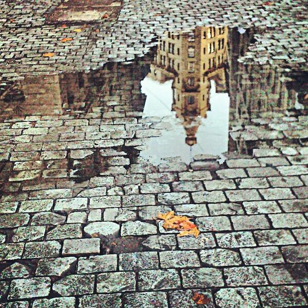 pool_gallo's tweet image. Se fue el invierno...