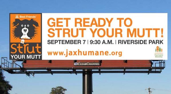 ClearlyJax's tweet photo. It's time to Strut Your Mutt! Join @JaxHumane on 9/7 for the ultimate doggie festival! http://t.co/vt8g6SrXNG http://t.co/am6QkW5wXt