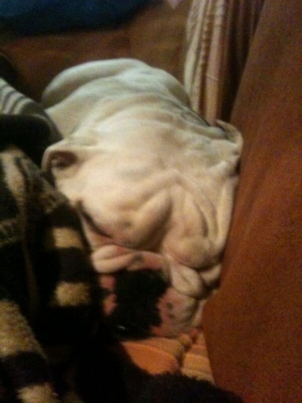 Dreaming of Wade Patin #wadepaton #fosah