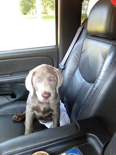 mtkf14's tweet photo. Vet time #lovethisgirl http://t.co/M5cb93AFOs