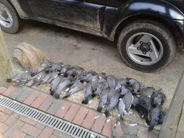 DeclenK's tweet image. Results from our afternoon out last Thursday 40 in total!!