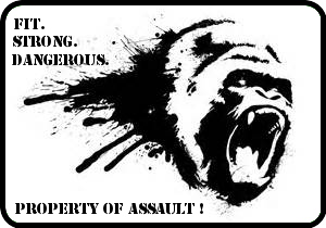 Are you ready to be an <a href="/AssaultFitness/">Assault Fitness</a> Silverback? #Silverback