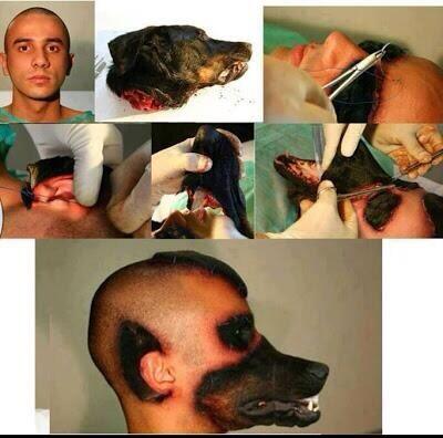 FACT. on X: 'a man had plastic surgery to make himself look like a dog  http://t.co/7dDkOgTfPC' / X