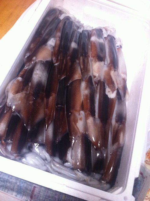 北海道の友達から大量のイカが届いたよ～(((o(*ﾟ▽ﾟ*)o))) http://t.co/vq1oDKCgUz