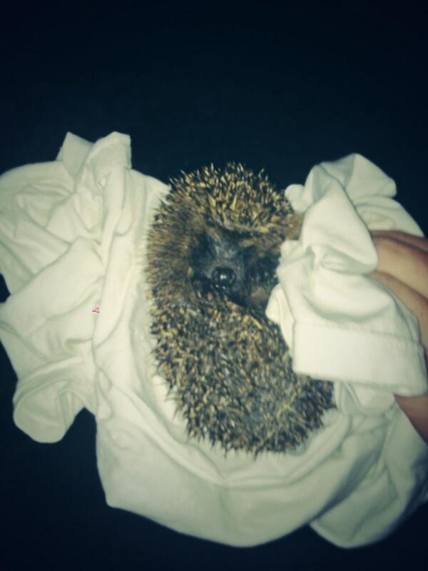 Isaac Jones tweet media