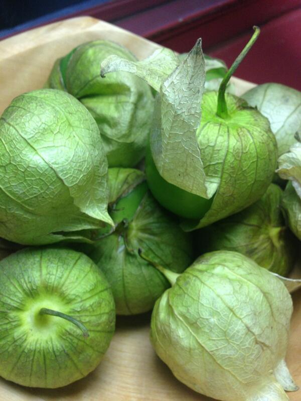 theWGV's tweet photo. Tomatillos, found. Everybody get familiar; I'm tired of repeating the term. Thanks for finding, @RJLussier http://t.co/9jGJSec2Cs