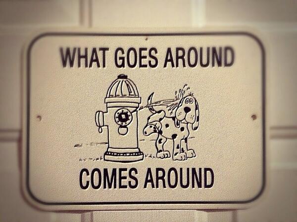HaileyDogMPLS's tweet photo. #Preach http://t.co/QVW0zrvSYb