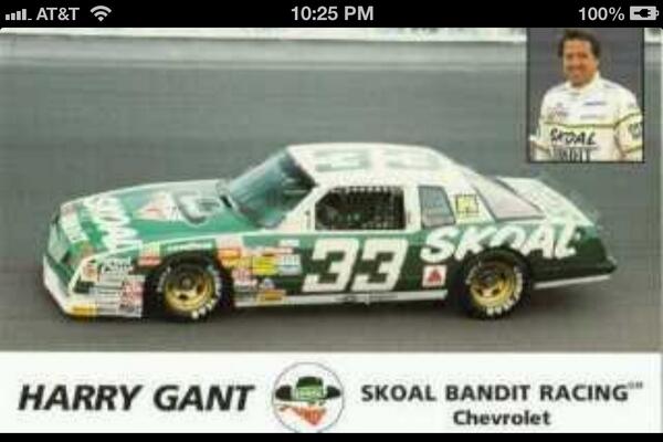 Probably the best paint scheme in #NASCAR history! TheSkoalBandit