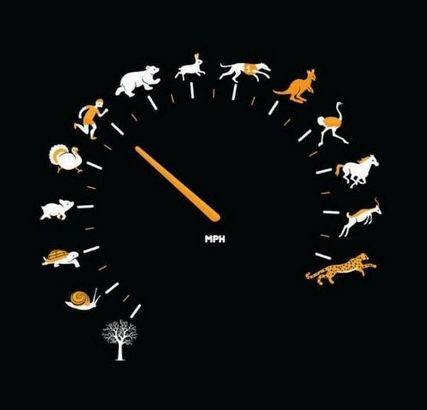 A que velocidad marchas tu?