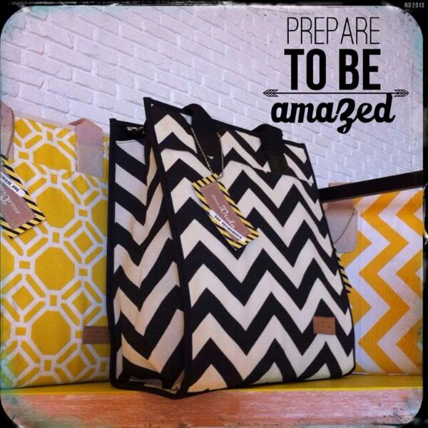 File Bag. Ideally used for keeping up with all your papers and files in fancy order.