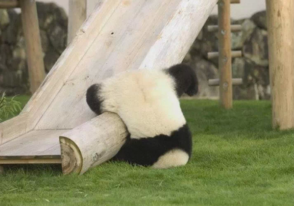 AmazingEarthPic's tweet photo. #bwahahaha! http://t.co/g6IjN6Y7pH