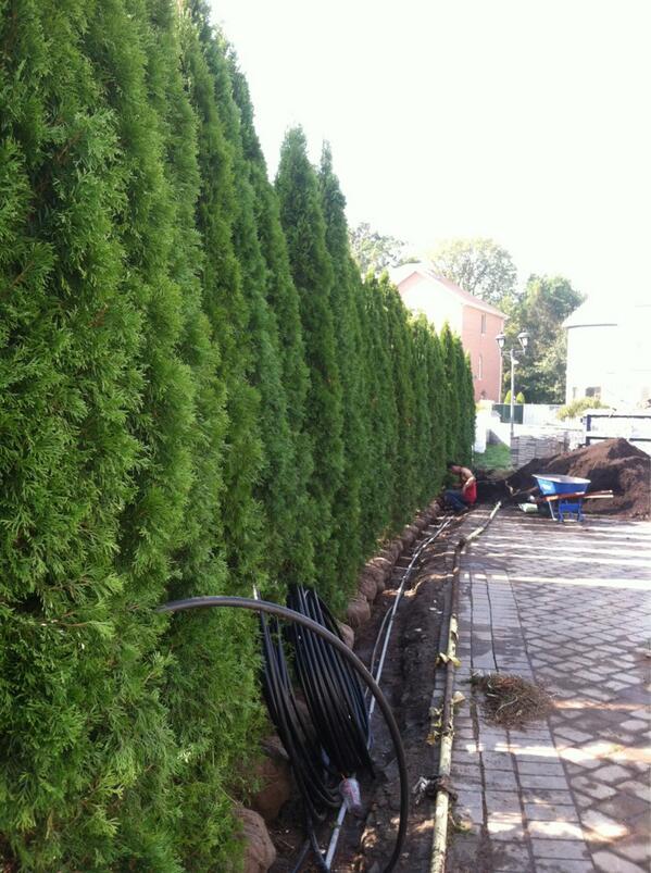 GreensideUp_SI's tweet photo. Coming along http://t.co/IFg1yPmri0