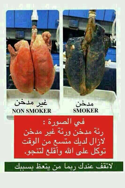 1_bader's tweet photo. @DrAhmedYaqoob 
لاتقف عندك ربما من يتعظ بسببك .

. http://t.co/q8IfMnmUQk