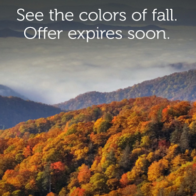 The new iPhone isn't the only thing that comes in lots of colors. Fall in the Smokies:
