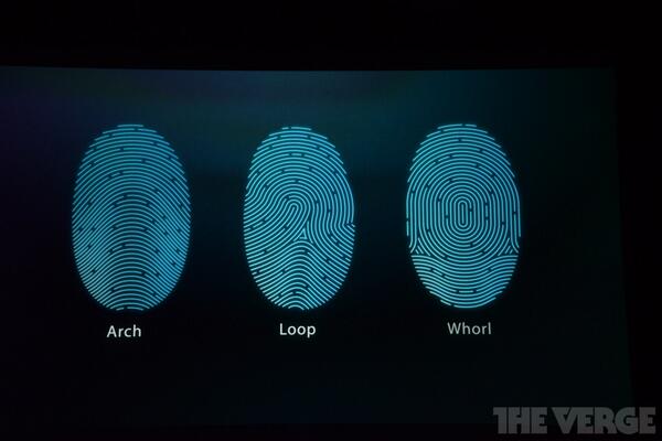 SmallRyse's tweet image. the reason I'm not getting a 5S

“@iPhoneTeam: All fingerprint is encrypted, and secured inside a secure enclave. http://t.co/1b1dnxzTgE”