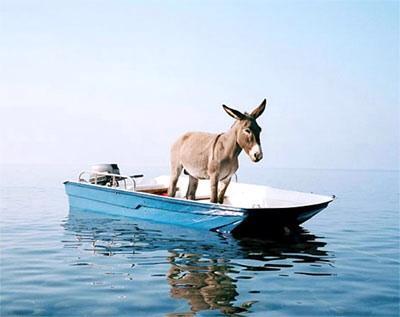 jjauthor's tweet photo. #ObamaBattleShipNames U.S.S. Barrack H. Obama http://t.co/xM3w99jQSN #tcot #KellyFile #Greta #Hannity #Maddow