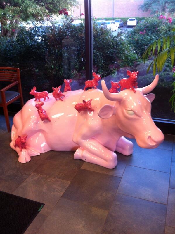 ElishevaKlein's tweet image. At First Bank at Trust on Skokie boulevard with @JewishB2B and @syklein #networking #creditscoreinfo