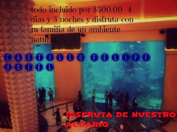 CastilloFelipe2's tweet photo. disfruta con tu familia de un buen ambiente http://t.co/vmTfRUaJ5l