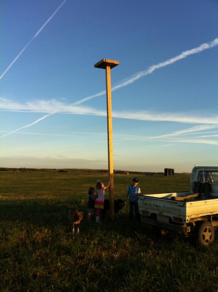 BT2RNxBCAAE3W3M.jpg:large