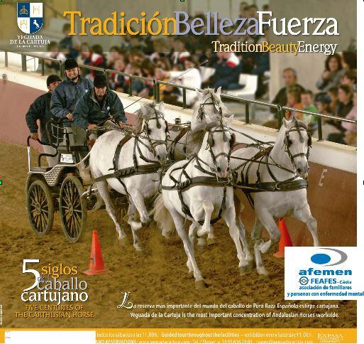 afemen's tweet photo. Os recordamos que aún podéis comprar vuestra entrada para ver La Yeguada de la Cartuja a beneficio de AFEMEN!! http://t.co/x7I2Z4M6VZ