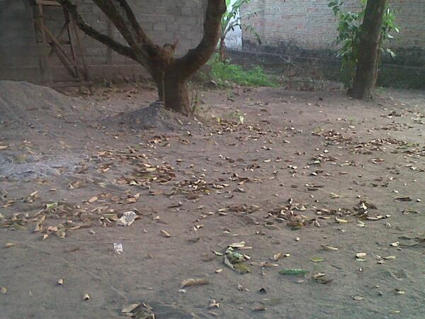 yasmin_adjah tweet picture