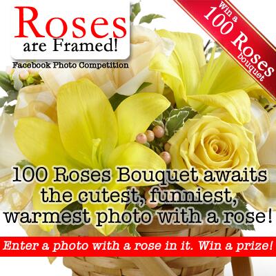 TheFlowerExpert's tweet photo. Our "#Roses are Framed" a unique,photo #competition is out.Enter to win a "100 Rose Bouquet" http://t.co/t99Ipz7jzr http://t.co/7eEFV4Jo5a