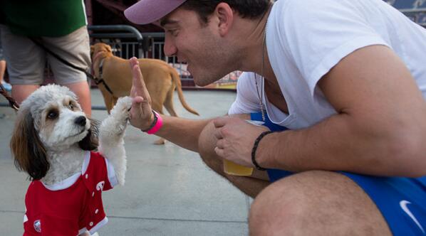phillies17's tweet photo. Furry High Fives all around @phillies Bark in the Park. #paws http://t.co/N0icdk5tpJ