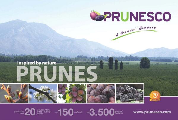 Prunesco tweet media