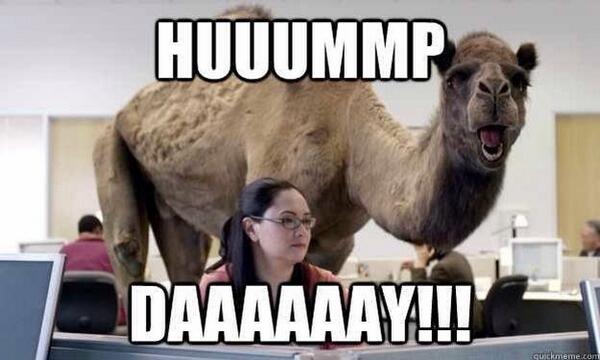 HumorousPicsNow tweet picture