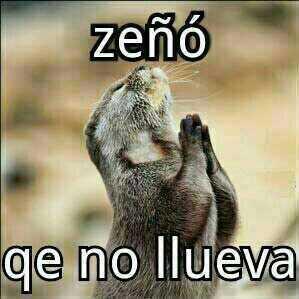 auxiscoby's tweet photo. Lo  mismo digo http://t.co/PQRK4gz5aR