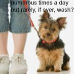 Photo by The Dog Daily (@TheDogDaily)