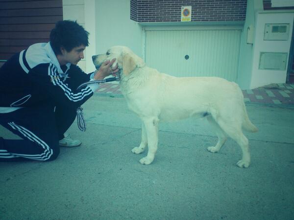 elarevalo8's tweet photo. este y yo nos vamos a dormir http://t.co/9pXqY5k1H4