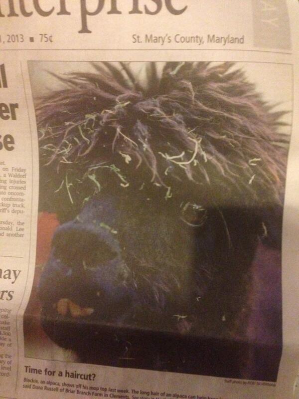 St Mary's County  tweet media