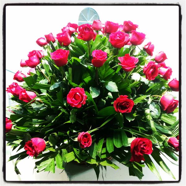 LisianthusMex's tweet photo. 80 Rosas Rojas. 1 metro de altura. Espectacular. http://t.co/LQhftM20wH