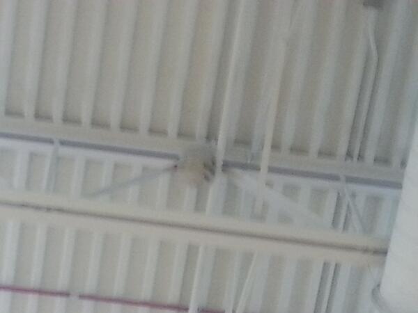 Shoutout to @sarah_wille for kicking a volleyball so hard that it got wedged in the ceiling. #impressivestrength