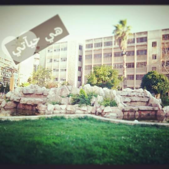 MSomaf's tweet image. الله يحميكي يا حمص