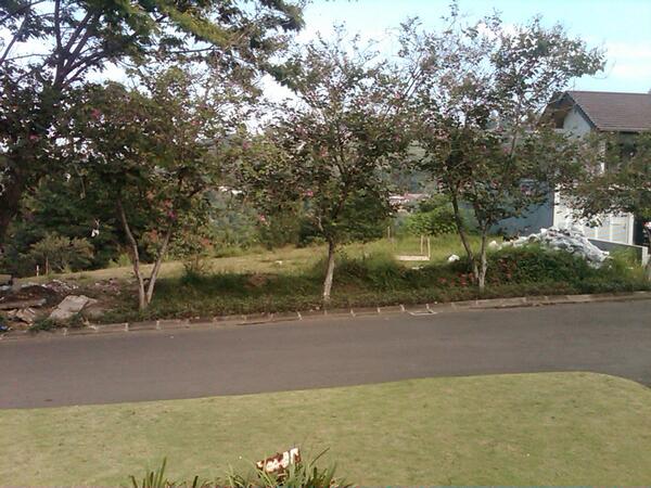 propertibdg_ID's tweet photo. Via @BalindoLS: FS:tanah di dago resor bdg,LT 850m2, lebar 25m,pjg 30m, good view 081319074035 #dijual http://t.co/uhLXpjab7Q