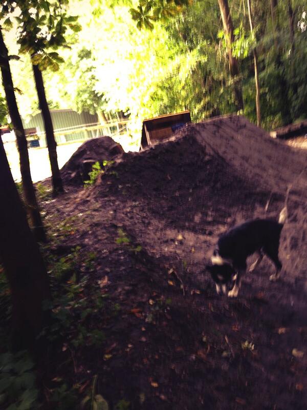 MXDreamLine's tweet image. 