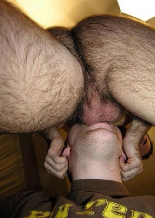 Hairy Gay Blowjobs 116