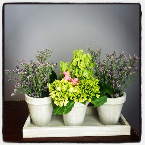 LisianthusMex's tweet photo. Eugenia.Tres Macetas Wash. Con estilo. Un regalo perfecto. #Lisianthus #New Tel: 52508811 http://t.co/qD9XgzOJlW