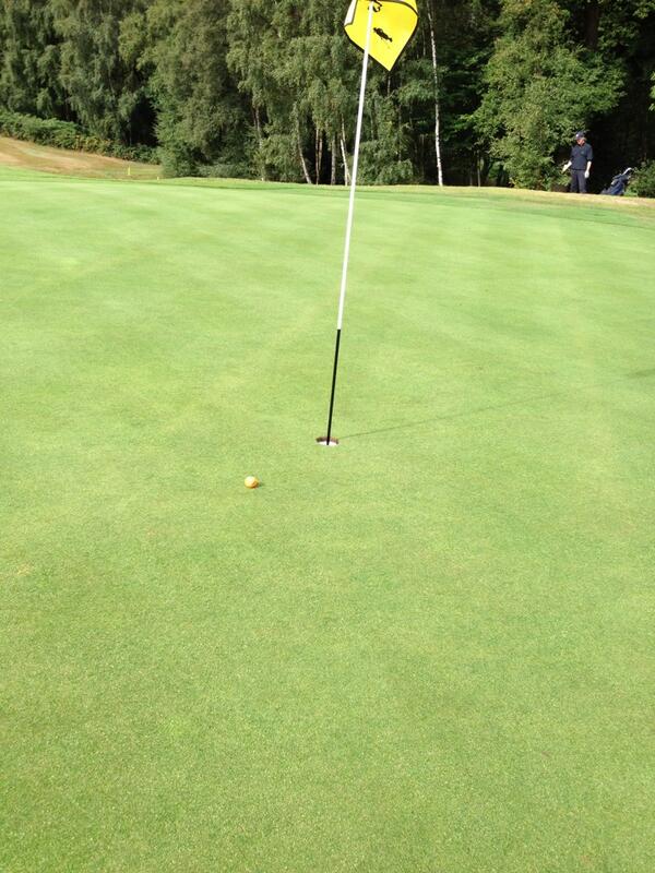 Great tee shot did you make the putt @markbutcher72 since when you been using orange balls?