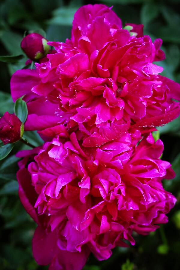 Edwards_photo's tweet photo. http://t.co/UczEyLEv3i