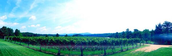 WhenFramesDrop's tweet image. Lens flare pano