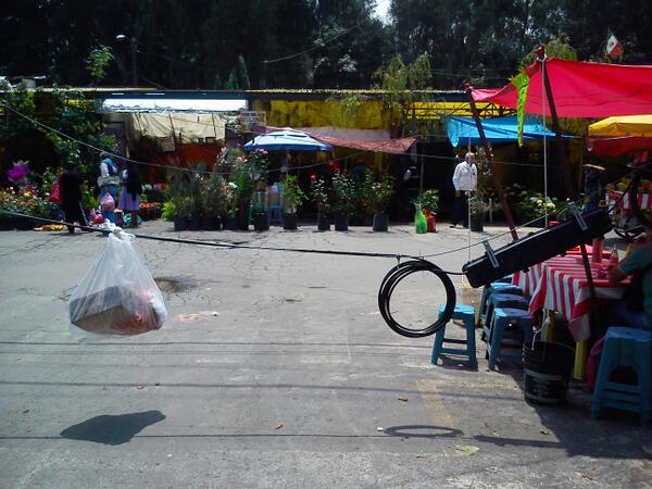 David_Pxndx's tweet photo. @retioDF calle  M.Selva xochimilco cable tirado a 70cm del piso Delegacion, CableV.ProteCivil. No hacen NADA .! AYUDA http://t.co/MOXq6dOMcM