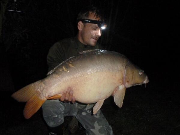 AddictiveBait's tweet image. 35lb mirror caught on the Spicy Plum
