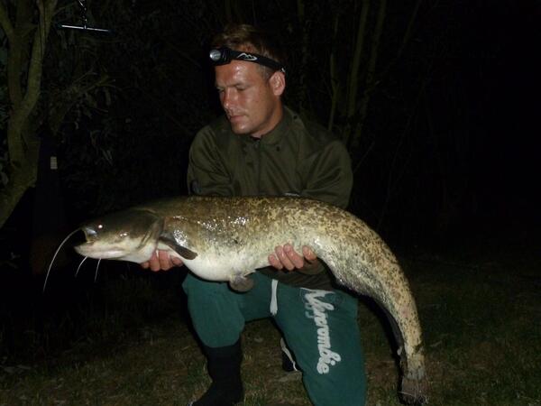 AddictiveBait's tweet image. Lars with a 16lb cat caught on our very impressive Spicy Plum