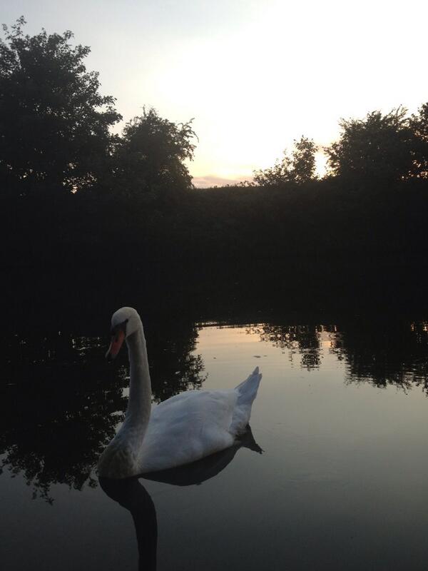 WoolfallCruises's tweet image. Beautiful sunset on the river weaver