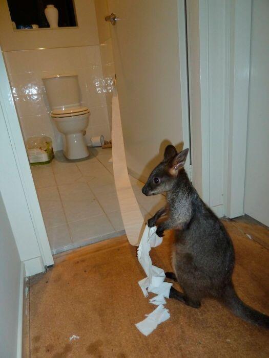 English4uOxford's tweet image. #modalverb

may/might = possibility

&apos;I may/might get in trouble over this!&apos;