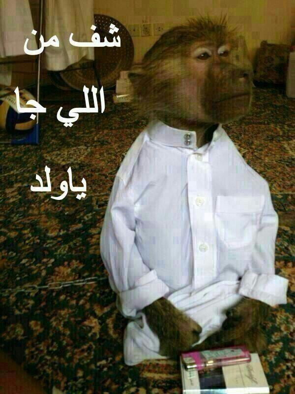 snsmhm tweet picture