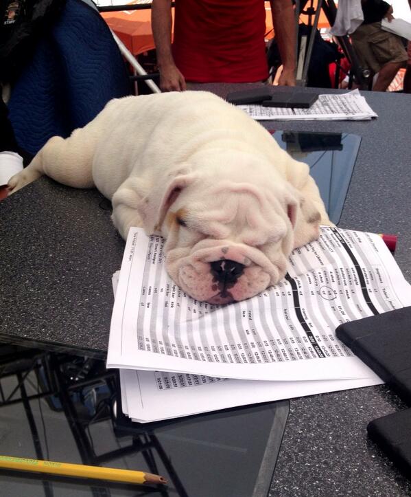 Chris Fowler tweet media